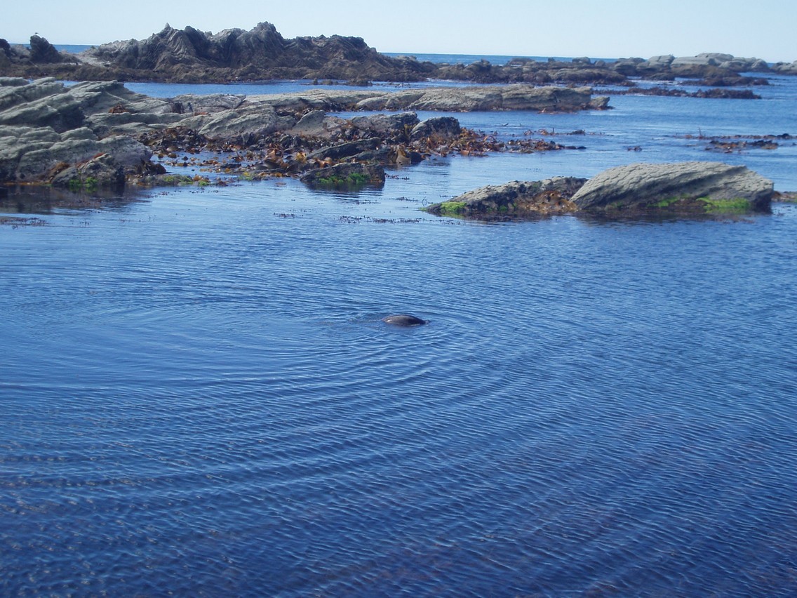 225   30 01   Kaikoura